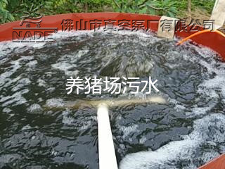 養(yǎng)豬場(chǎng)污水處理